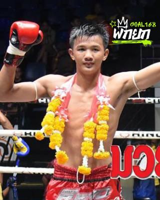 กุหลาบดอย