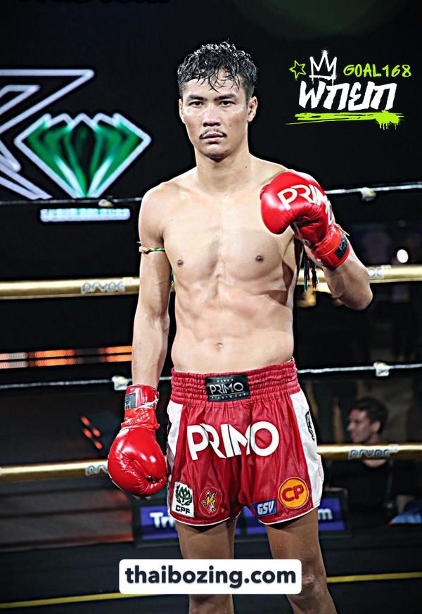 boxer