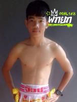 เพชรนำชัย