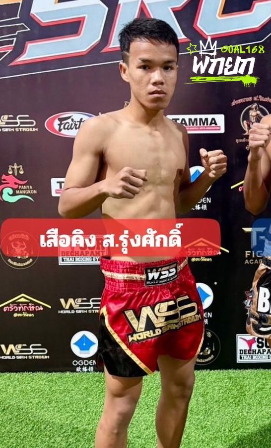 เสือคิงส์