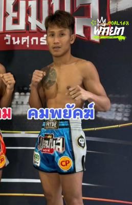 คมพยัคฆ์
