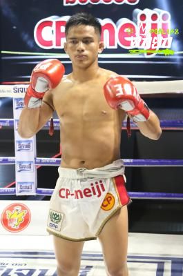 boxer