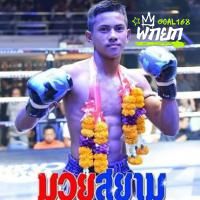 เก้าพยัคฆ์