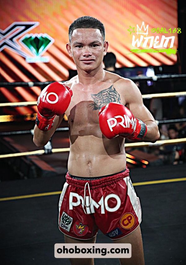 boxer