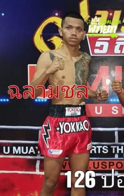 ฉลามชล