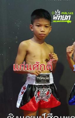 แก่นศักดิ์