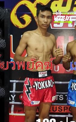 เขี้ยวพยัคฆ์