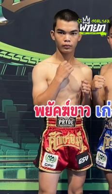 พยัคฆ์ขาว ส.มังกรคอนกรีต