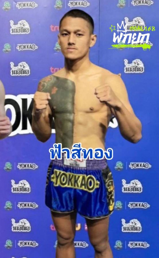 จ่าฝูง