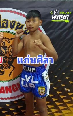 แก่นศิลา