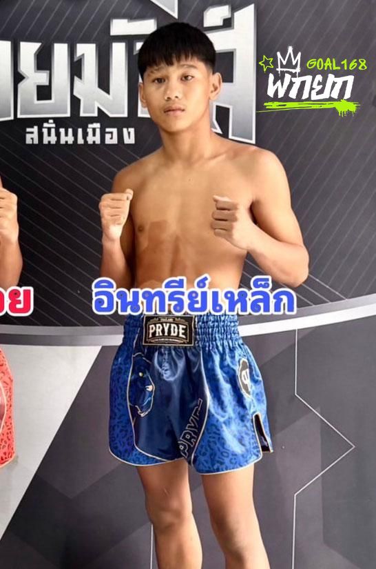 อินทรีย์เหล็ก