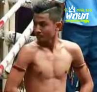 พยัคฆ์ขาว