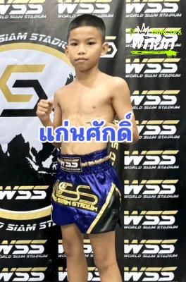 แก่นศักดิ์