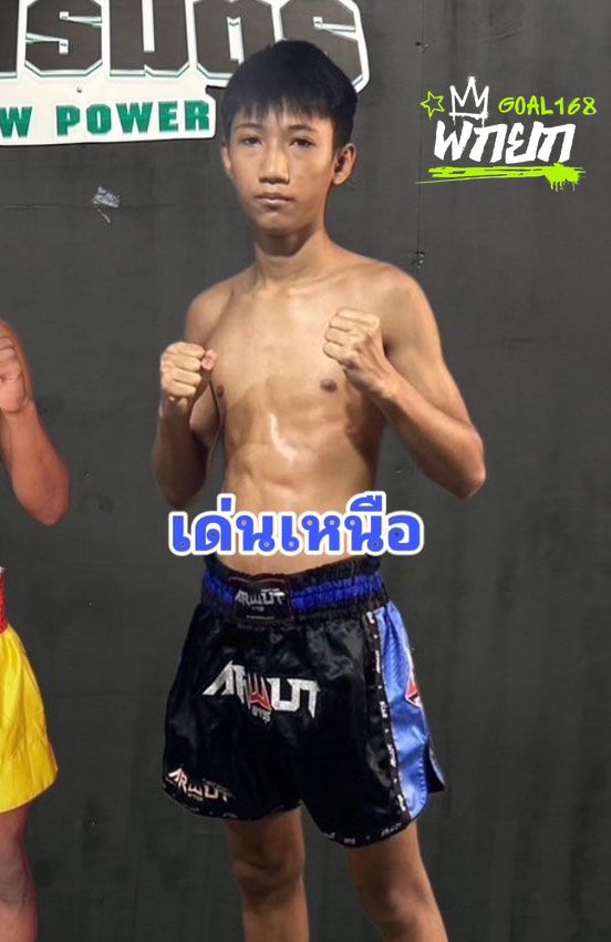 เด่นเหนือ