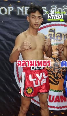ฉลามเพชร ต.บัวมาศ