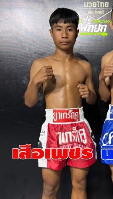เสือเพชร