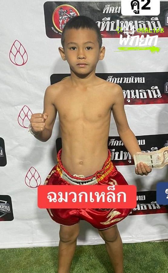 ฉมวกเหล็ก