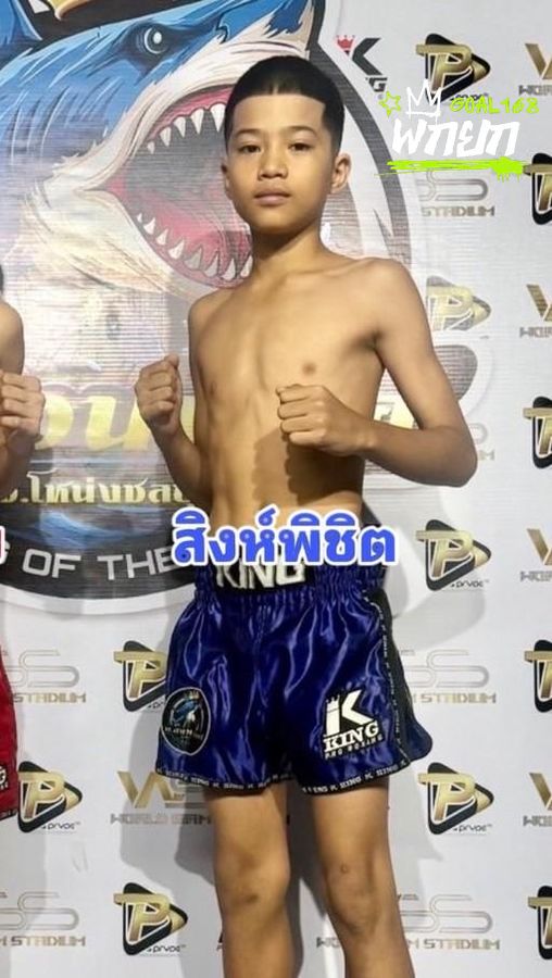 สิงห์พิชิต
