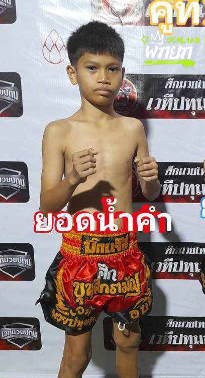 ยอดน้ำคำ ลูกพงษ์สิงห์