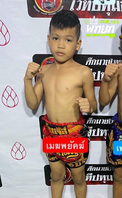 เมฆพยัคฆ์