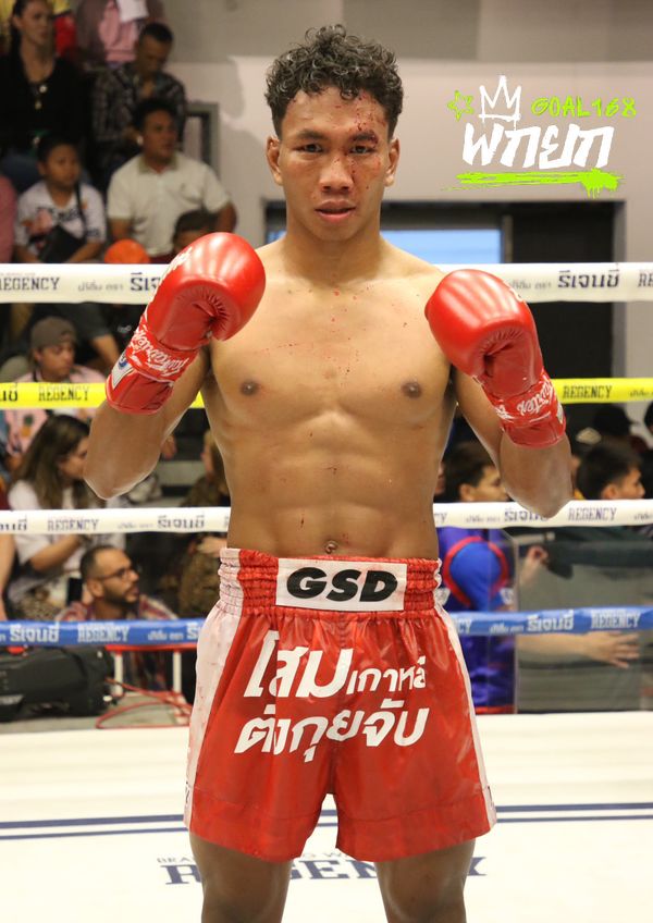 boxer