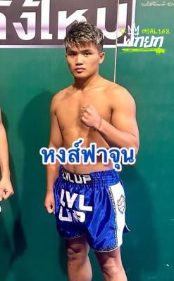 หงส์ฟาจุน