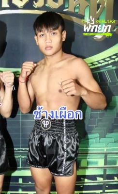 ช้างเผือก ส.คำสิงห์