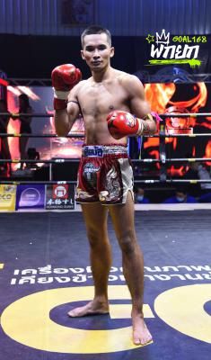 boxer