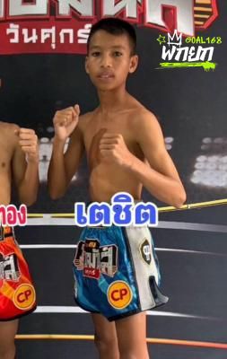 เตชิต