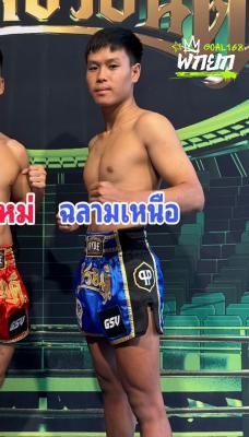 ฉลามเหนือ