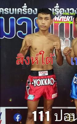สิงห์ใต้