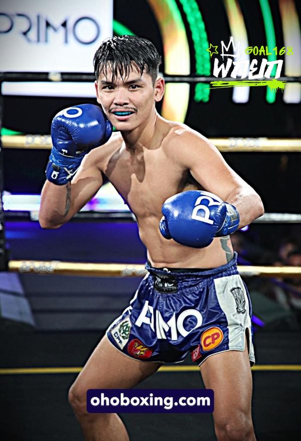 boxer