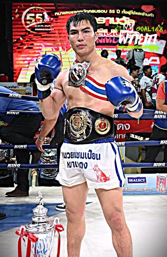 boxer