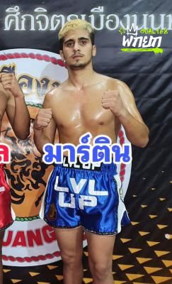 มาร์ติน