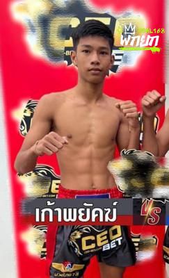 เก้าพยัคฆ์