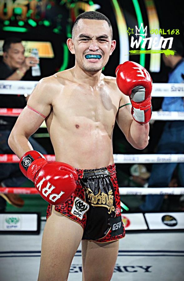 boxer