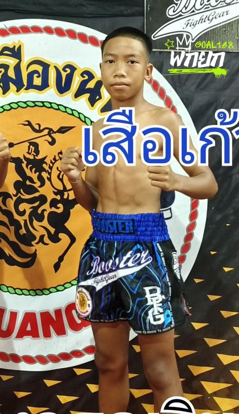 เสือเก้า