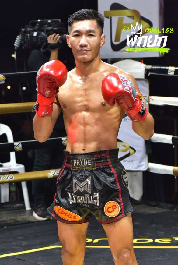 boxer