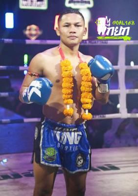 boxer