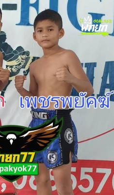 เพชรพยัคฆ์