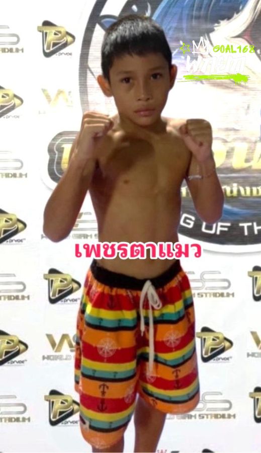 เพชรตาแมว