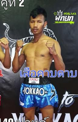 เสือคาบดาบ