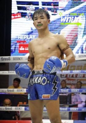 นกแก้ว