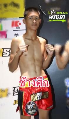 ช้างศึก อ.อิทธิพรยิม
