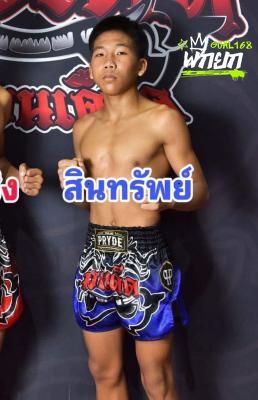 สินทรัพย์ ทิพย์ท่าไม้