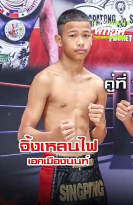 จิ้งเหลนไฟ