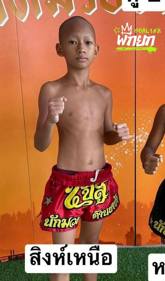 เหนือสิงห์
