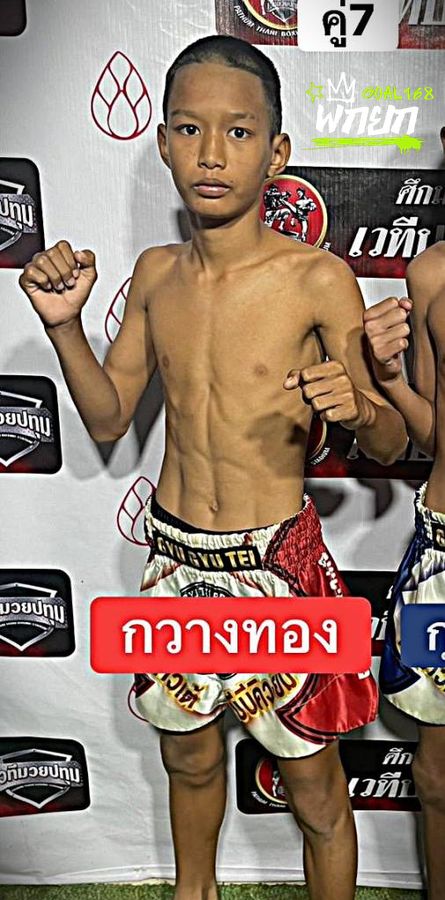 กวางทอง