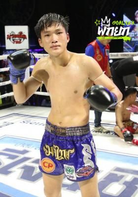 ช้างศึก