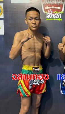 ฉลามทอง